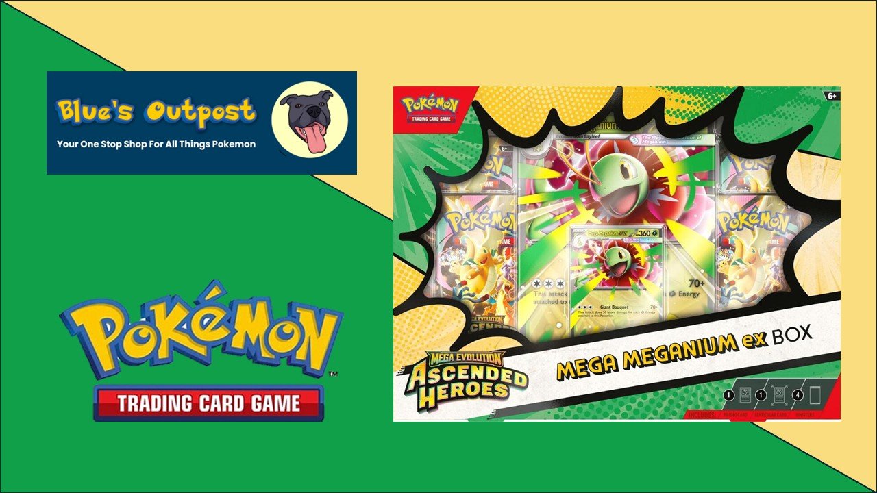 Ascended Heroes Mega Meganium ex Box - ME: Ascended Heroes (ASC) - Blue's Outpost