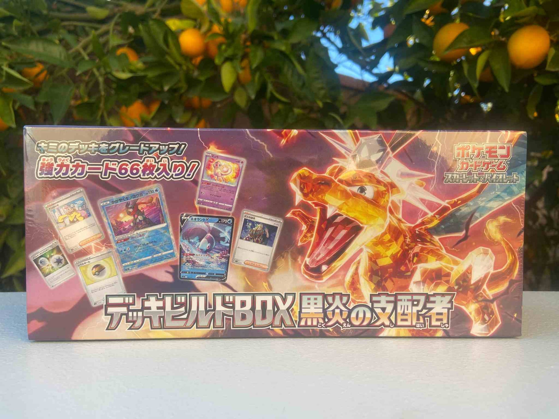 Japanese Charizard Ruler of the Black Flame - Pokemon Deck Build Box Blue's Outpost Japanese Charizard Ruler of the Black Flame - Pokemon Deck Build Box Blue's Outpost